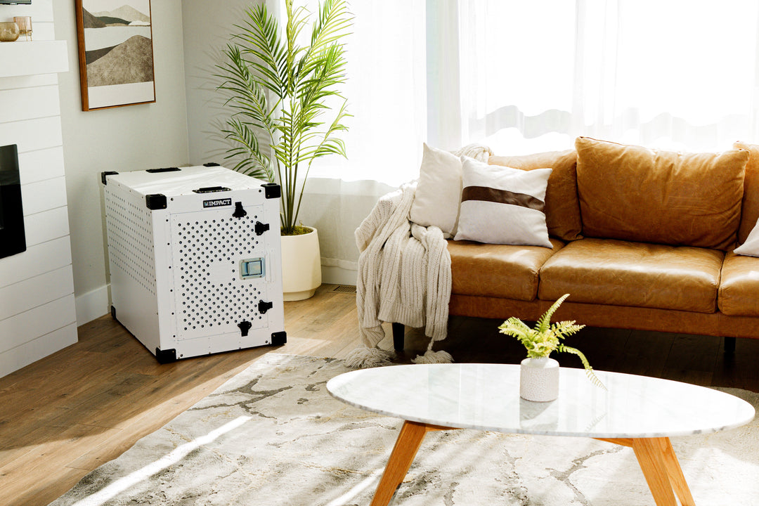a white high anxiety crate in a corner of a modern well lit living room with couches, coffee tables, plants, and pictures on the wall