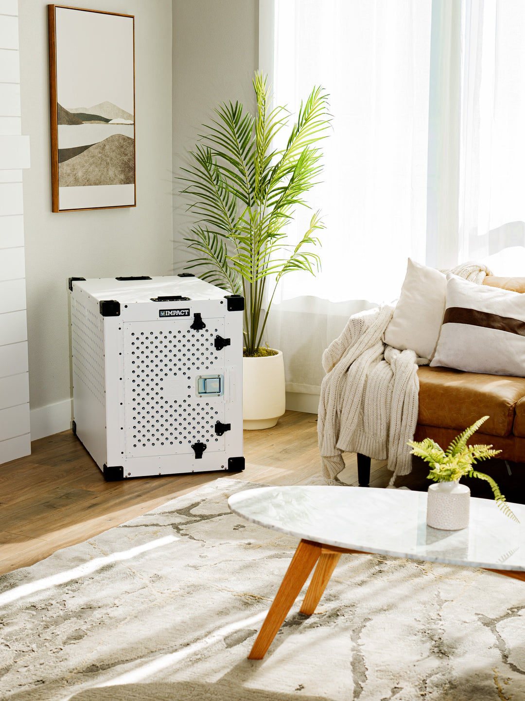 a white high anxiety crate in a corner of a modern well lit living room with couches, coffee tables, plants, and pictures on the wall