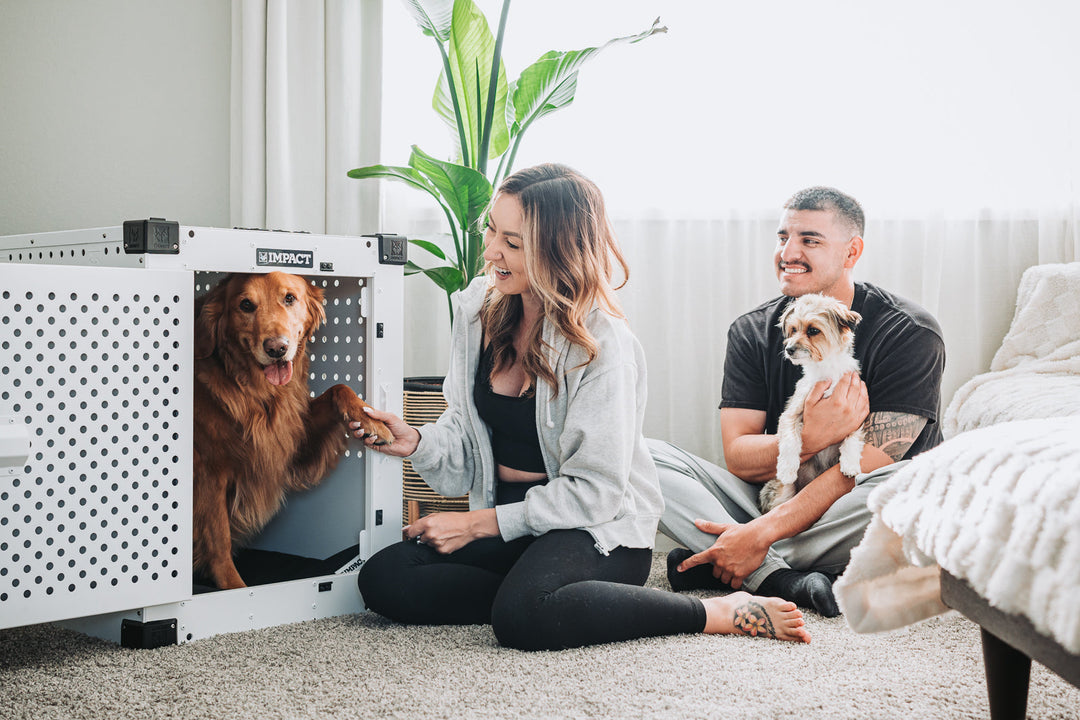 a girl holding her golden retrievers paw in a white high anxiety dog crate with her husband holding a smaller dog behind them smiling