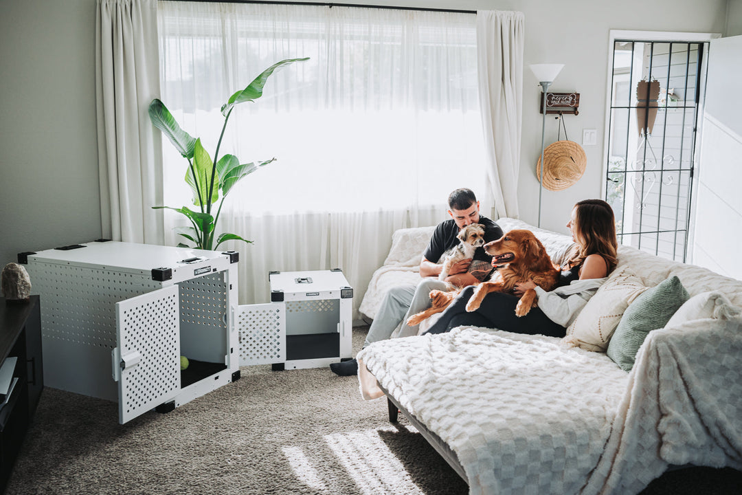 a family with their two dogs sitting in a living room with the white high anxiety and white 24 inch stationary crate