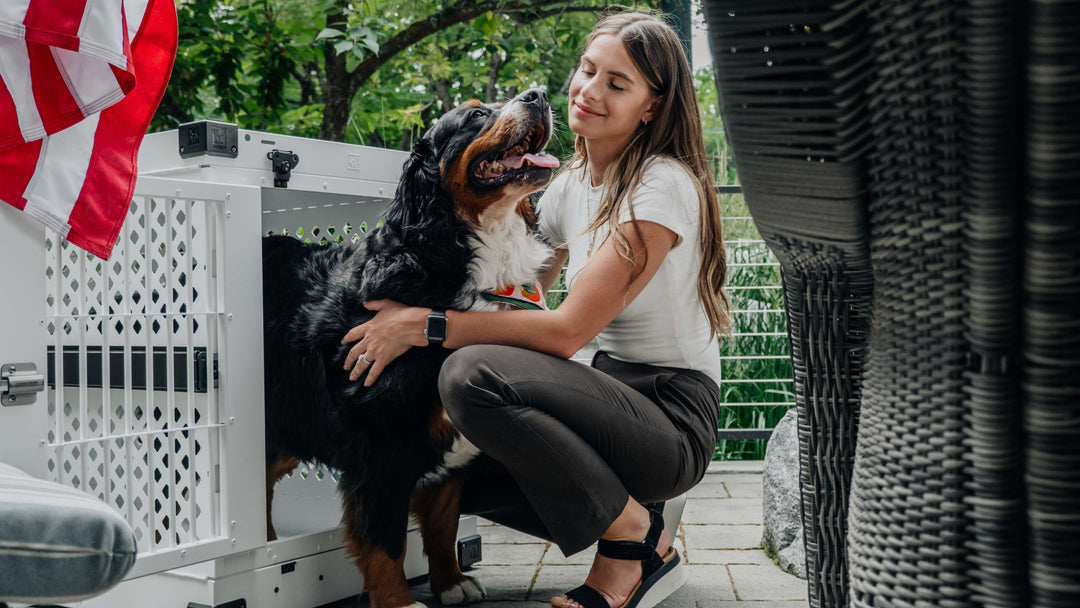 a girl with her bernese mountain dog standing in a white collapsible dog crate