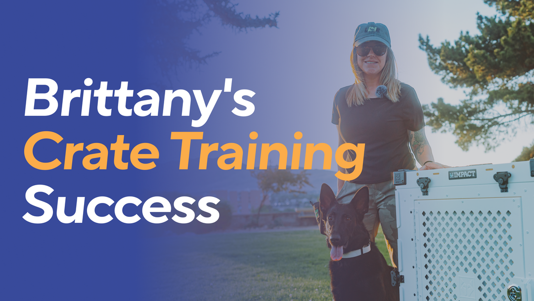 dog and a woman standing next to a white collapsible dog crate with the text 'Brittany's Crate Training Success'