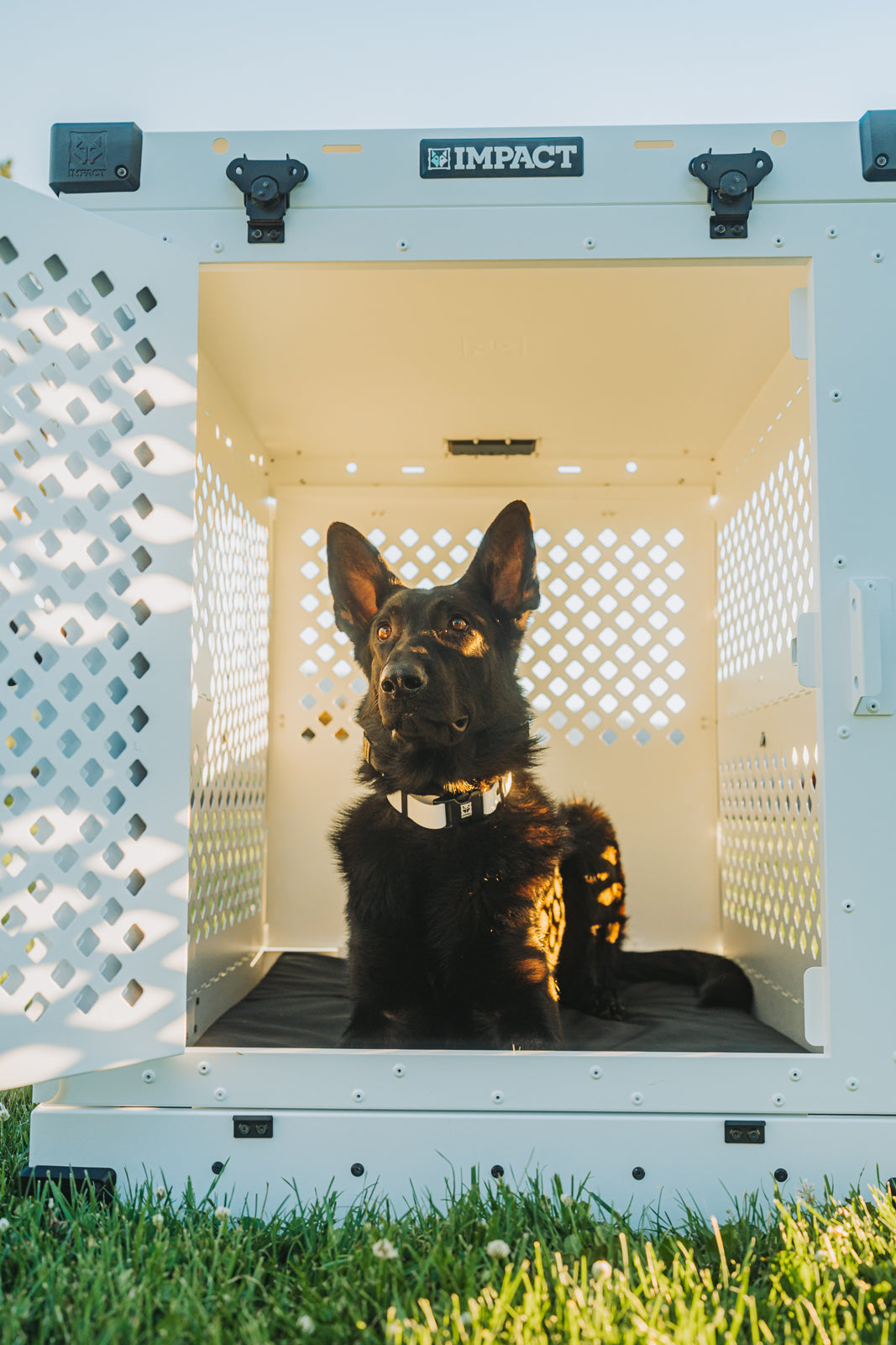 a black german shepherd sitting inside of a white collapsible dog crate in the grass