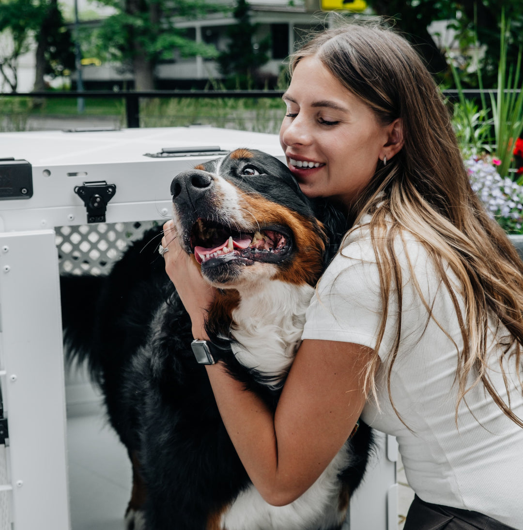 girl hugging her bernese mountain dog with a white collapsible dog crate