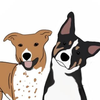 Marissa | Kota + Aspen