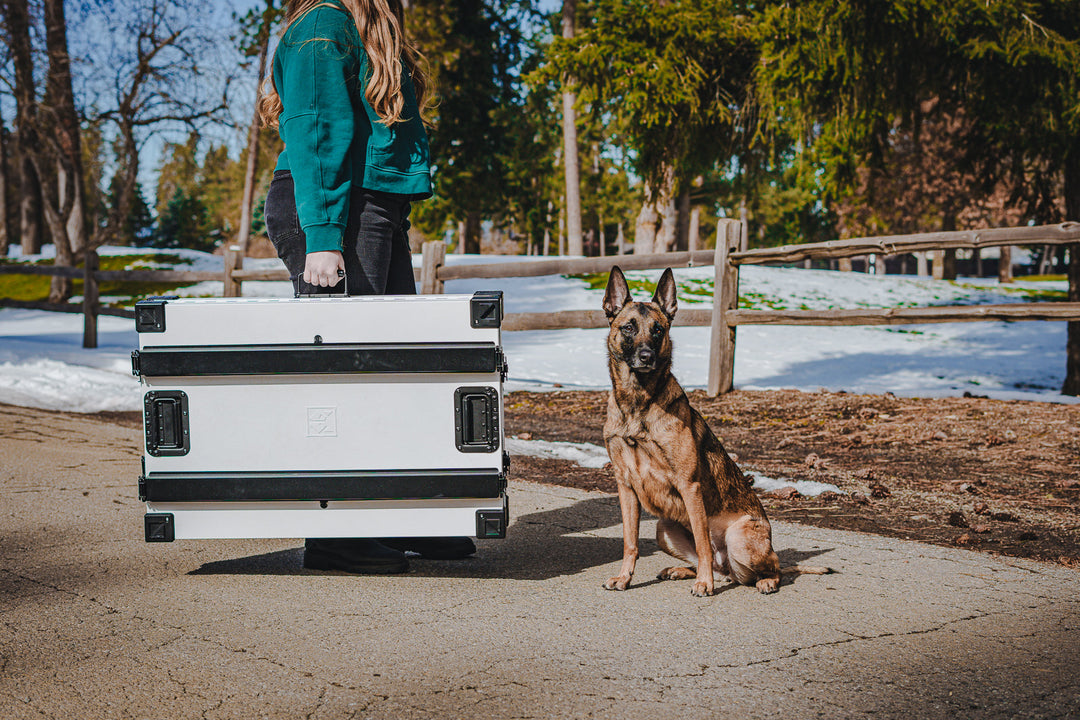 a woman walking with a folded white collapsible dog crate demonstrating teh mobility of the crate, with a GSD standing next to her with snow in the background