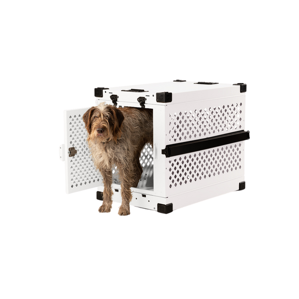 scruffy dog walking out of a white collapsible impact crate