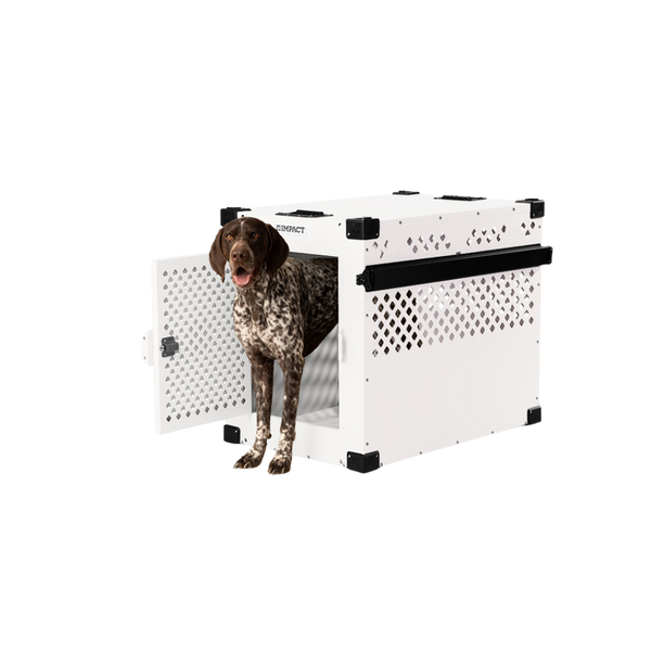 german shorthair walking out of a white stationary dog crate