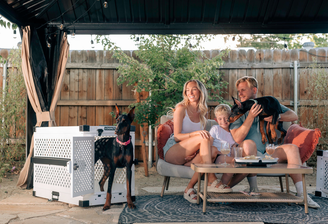 a family sitting with their two doberman pinschers in the back yard under a pergola. The dad is holding the baby doberman, and the adult doberman is sitting in the white collapsible dog crate