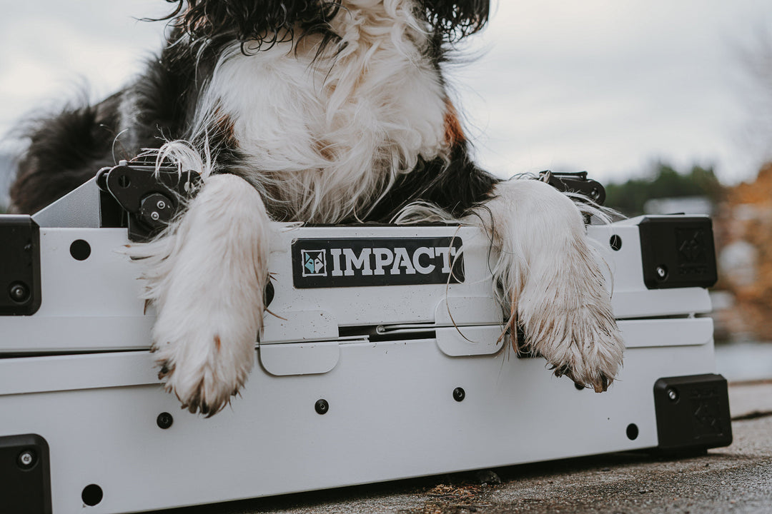 a dog sitting on top of a collapsed, white collapsible dog crate with their paws hanging over the side of the crate