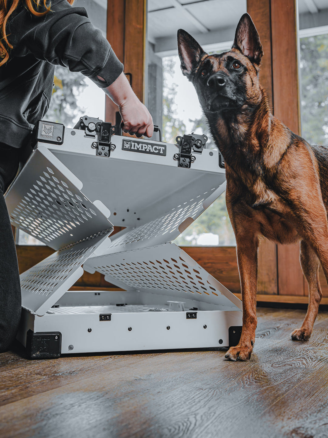 woman setting up the collapsible dog crate with a GSD standing next to her