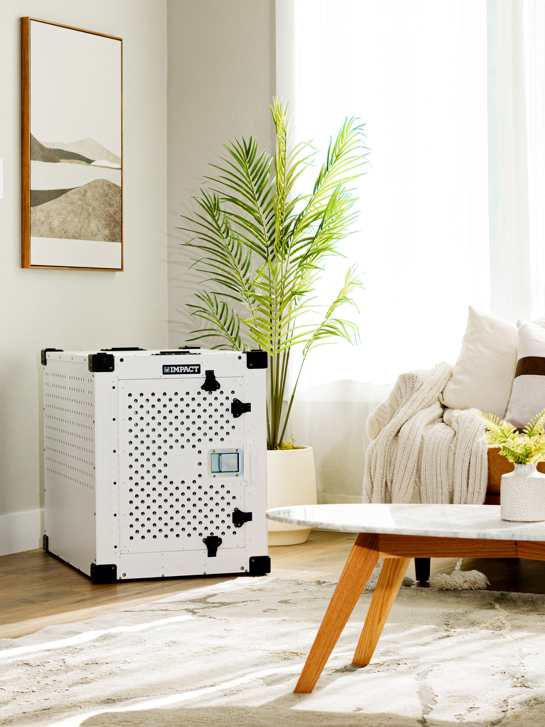 White High Anxiety crate in the corner of a modern living room