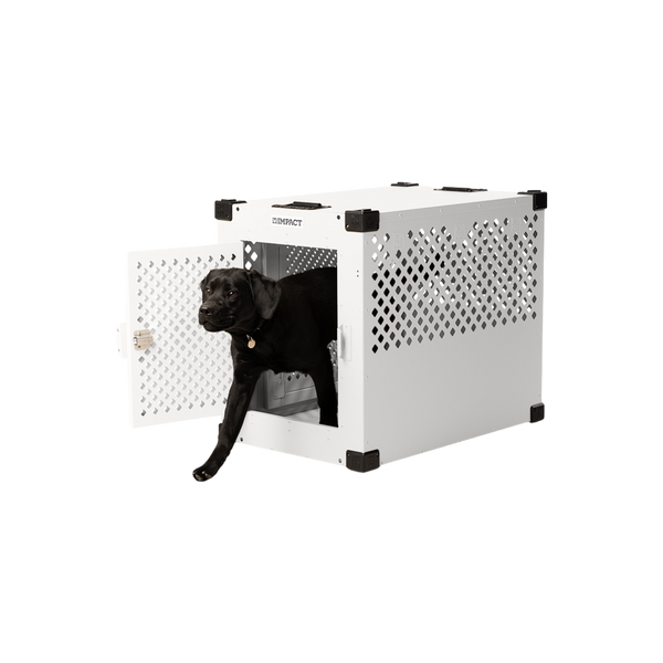 black lab walking out of a white stationary impact crate