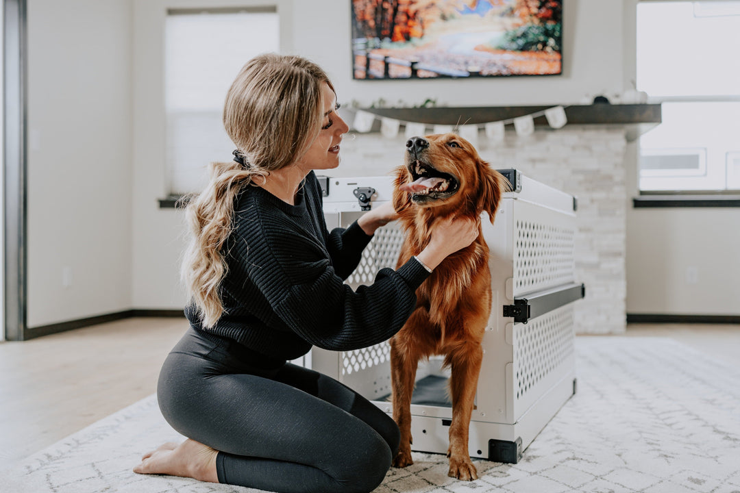 a blonde woman petting her golden retriever that is halfway outside of the white collapsible dog crate